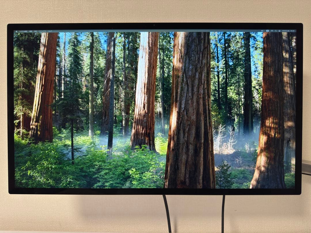 本日限定価格 Apple Studio Display VESAマウント