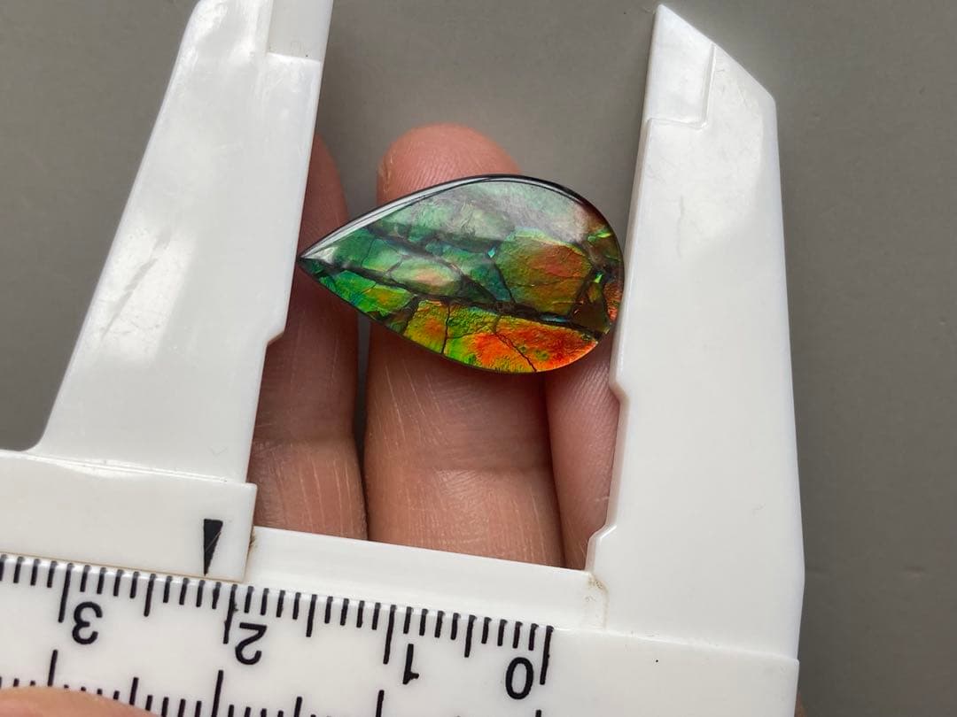 アンモライトルース　化石　原石　幅2.2cm 美品