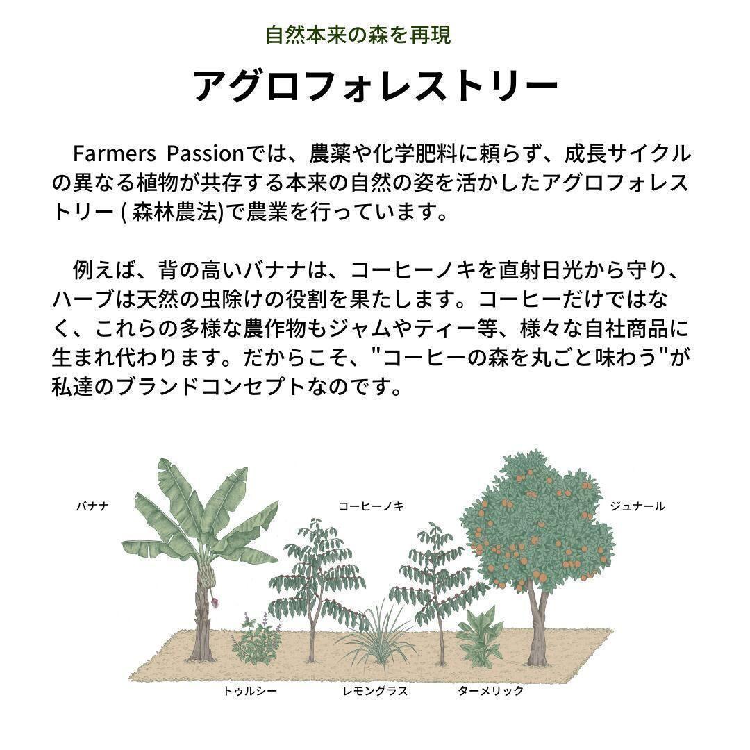 ★オーガニックコーヒー ストロング フェアトレード 1kg コーヒー豆 ネパール