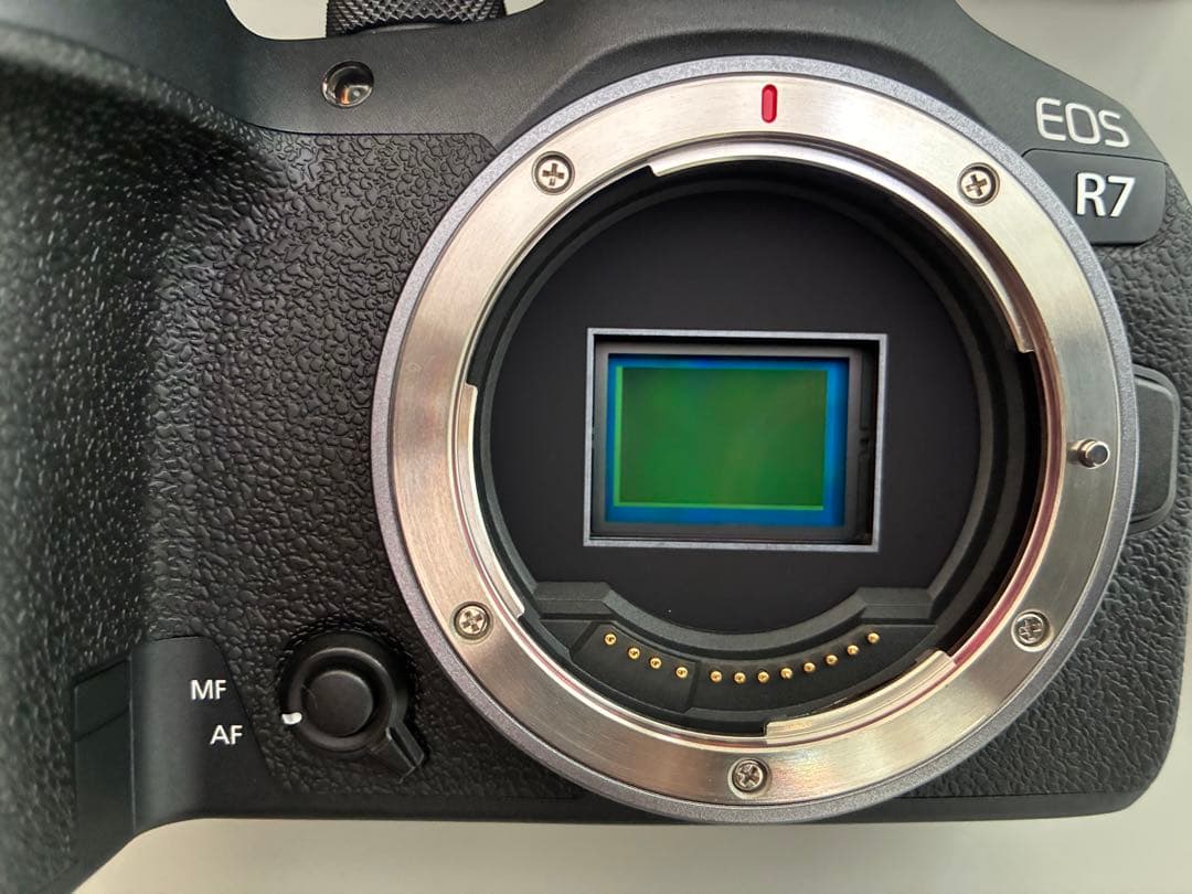 R　Canon EOS R7 ミラーレス一眼カメラ