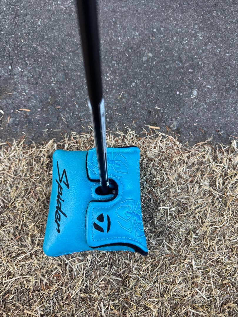 TaylorMade Spider ＺＴ　LONG