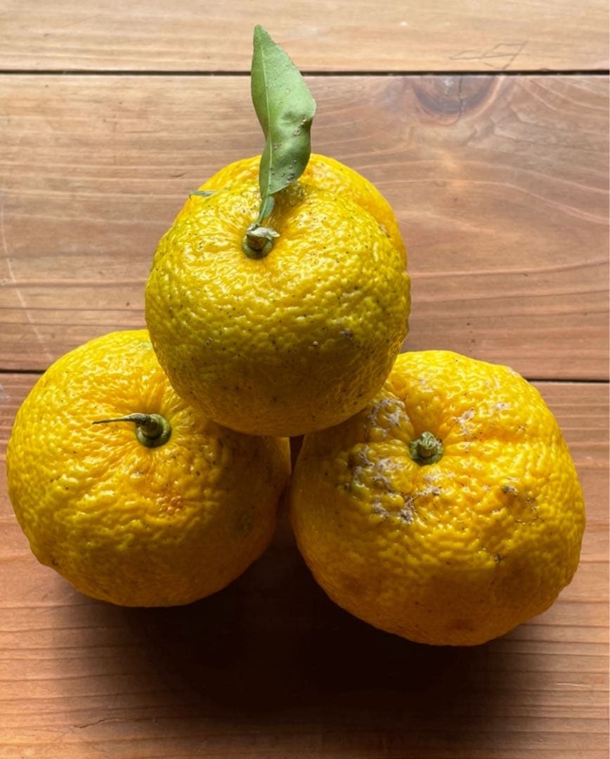 徳島県産　ゆず酢　かんきつ　ゆず果汁　柚子酢　ゆず　柚子　柑橘　果汁　実生ゆず