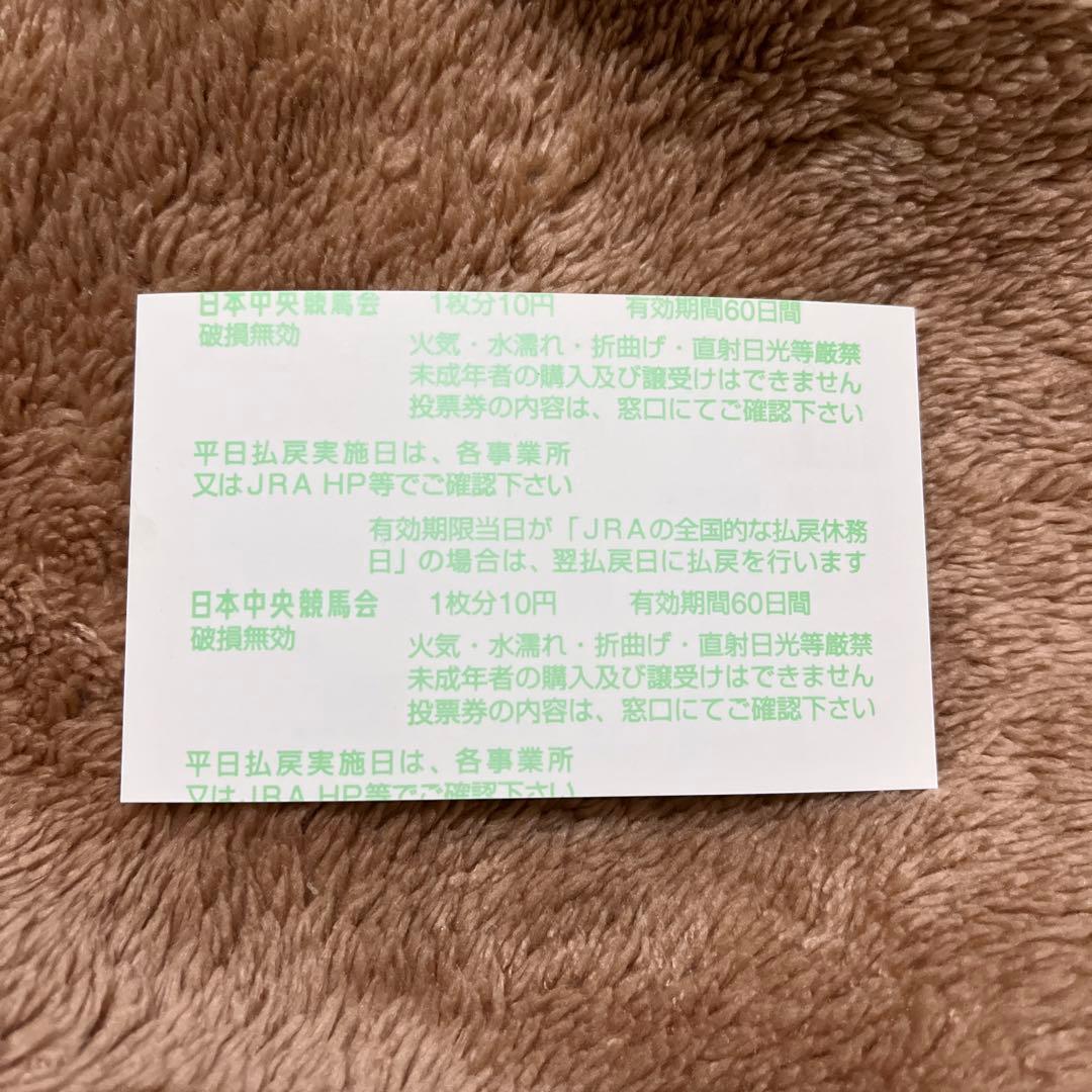 【期限切れ単勝馬券】　日本ダービー　2010 エイシンフラッシュ　ウマ娘