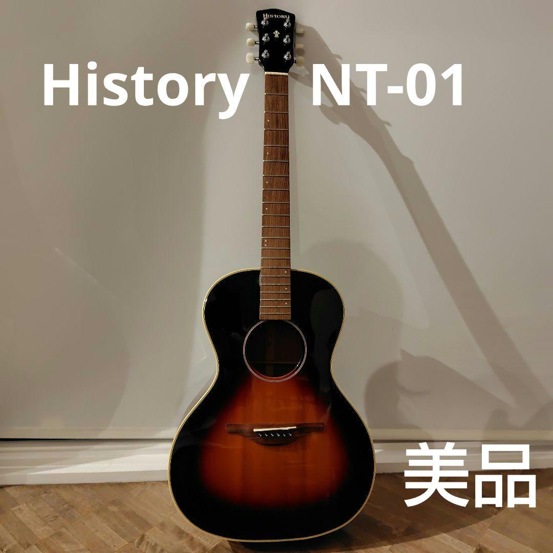 HISTORY NT-01 アコースティックギター ハードケース付