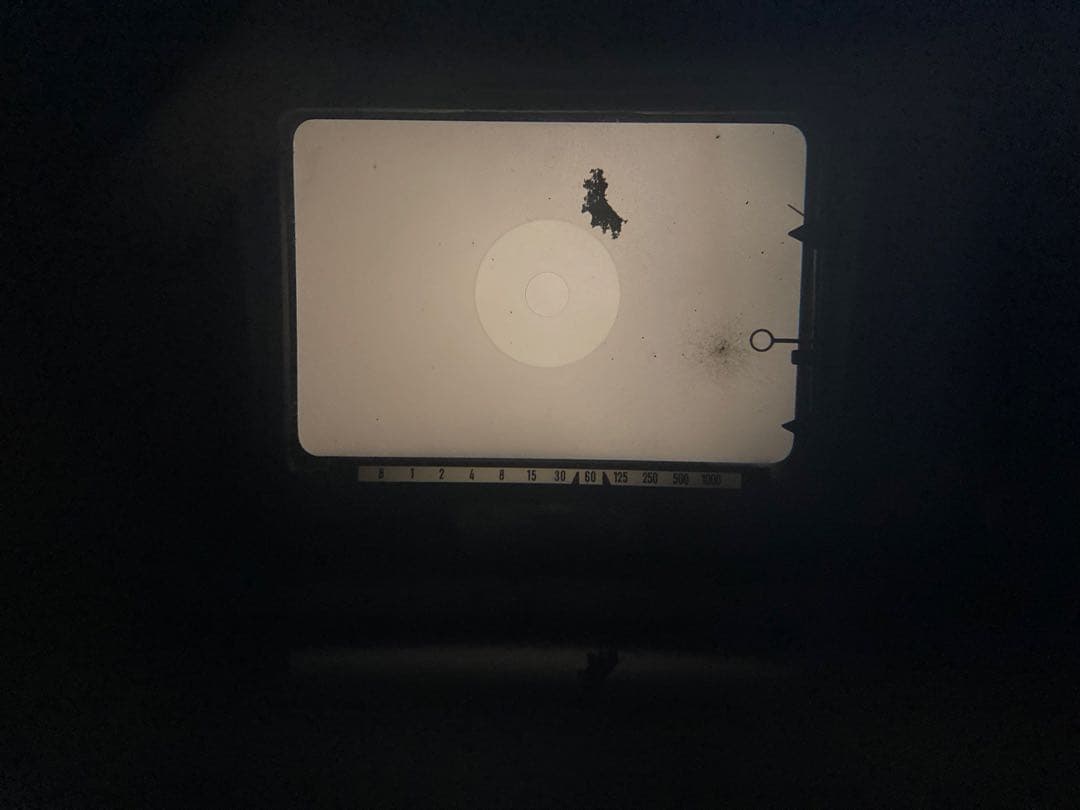 ジャンク品　カメラ3台と三脚(MINOLTAとYASHICAFLEXと？)