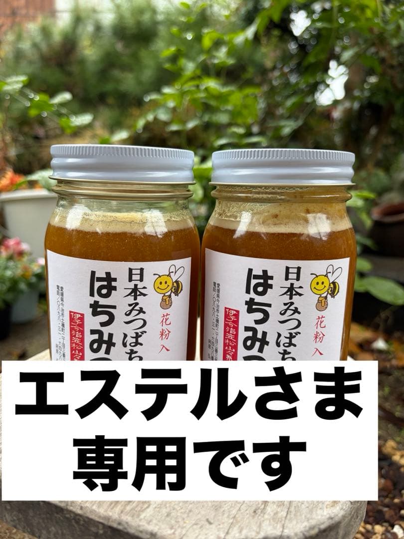 はちみつ　日本蜜蜂のハチミツ　奥山の蜂蜜　　巣箱違い谷違いの花粉入りはちみつ