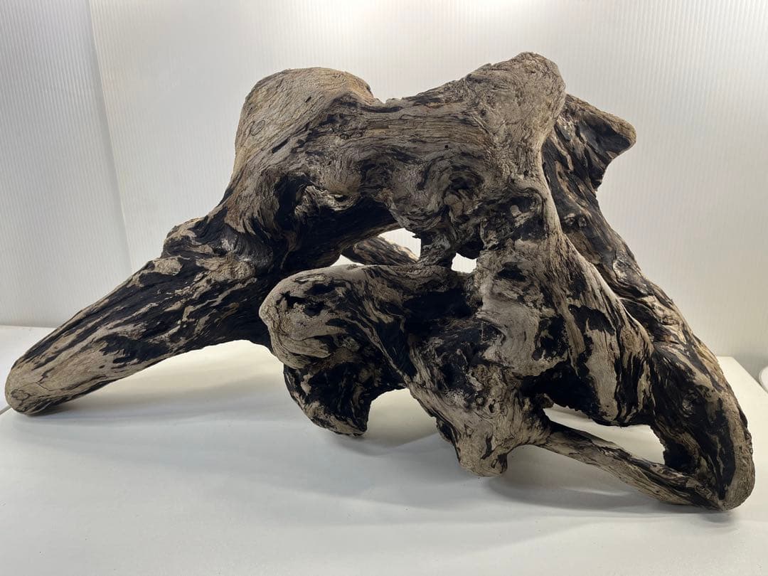 m46特大流木 大型流木 アク抜き済み 爬虫類シェルター レイアウト用 隠れ家