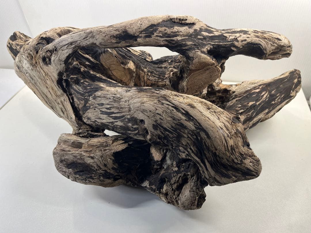 m46特大流木 大型流木 アク抜き済み 爬虫類シェルター レイアウト用 隠れ家