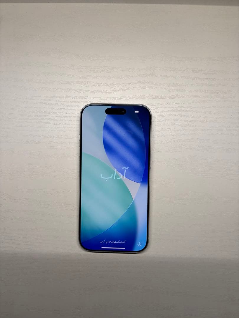 Apple iPhone 17 Pro シルバー 本体 256GB