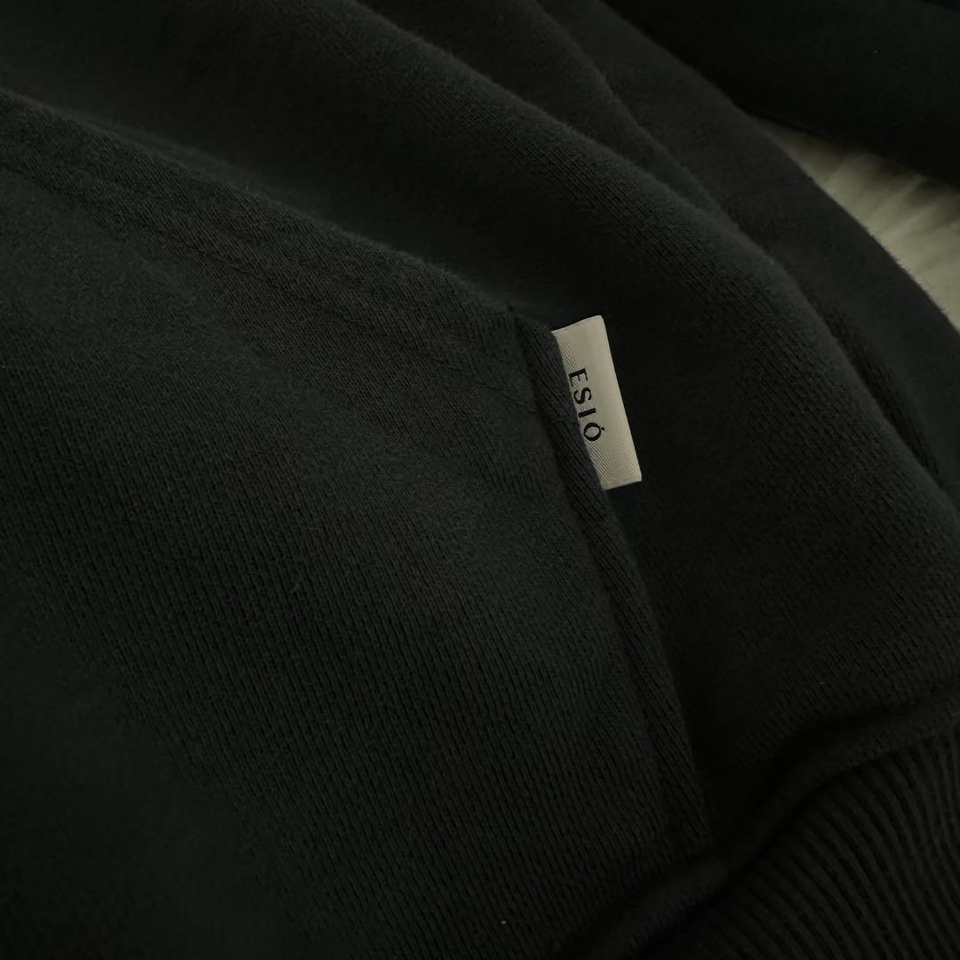 ESIO セットアップ