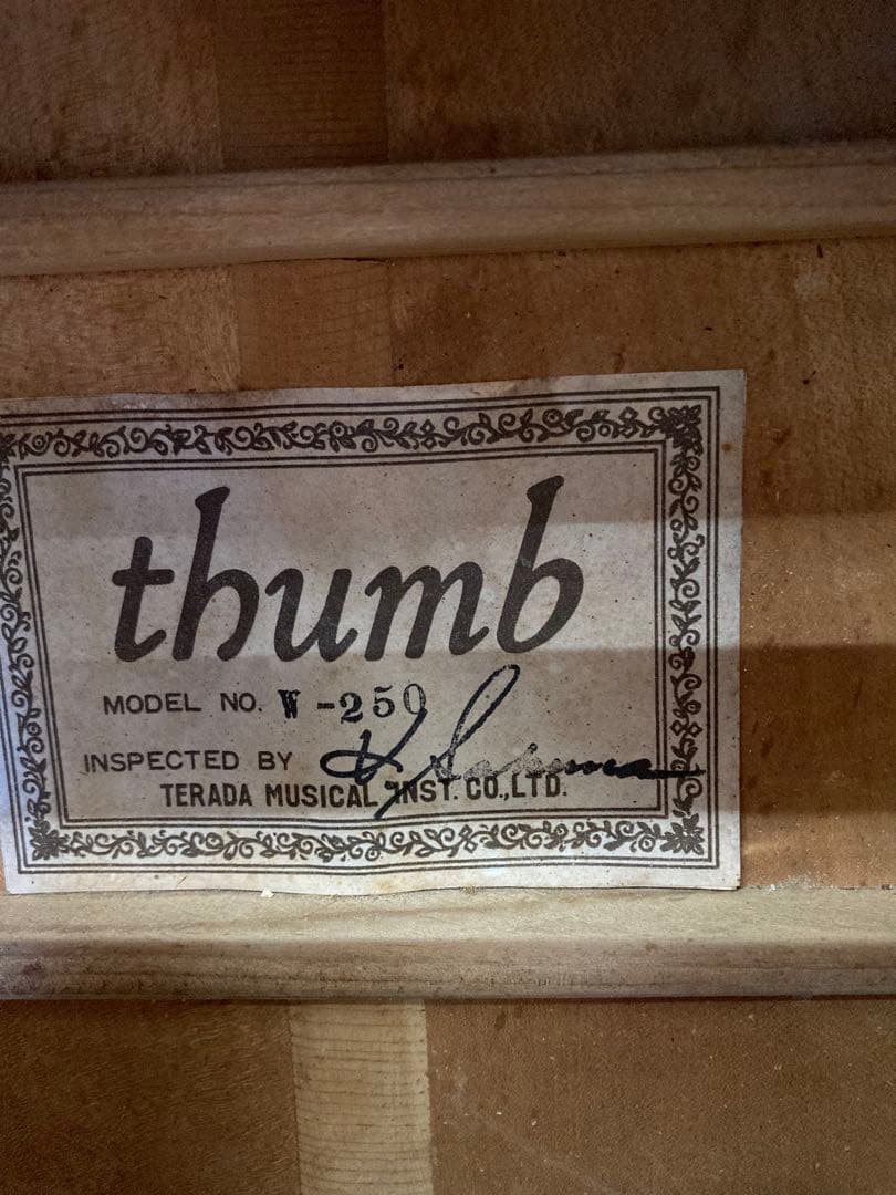 【希少】thumb W-250 (寺田楽器製・70年代ジャパンヴィンテージ)