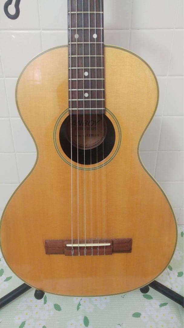 ANBOY REG20N ミニ アコースティックギター クラシック ガット 軽量