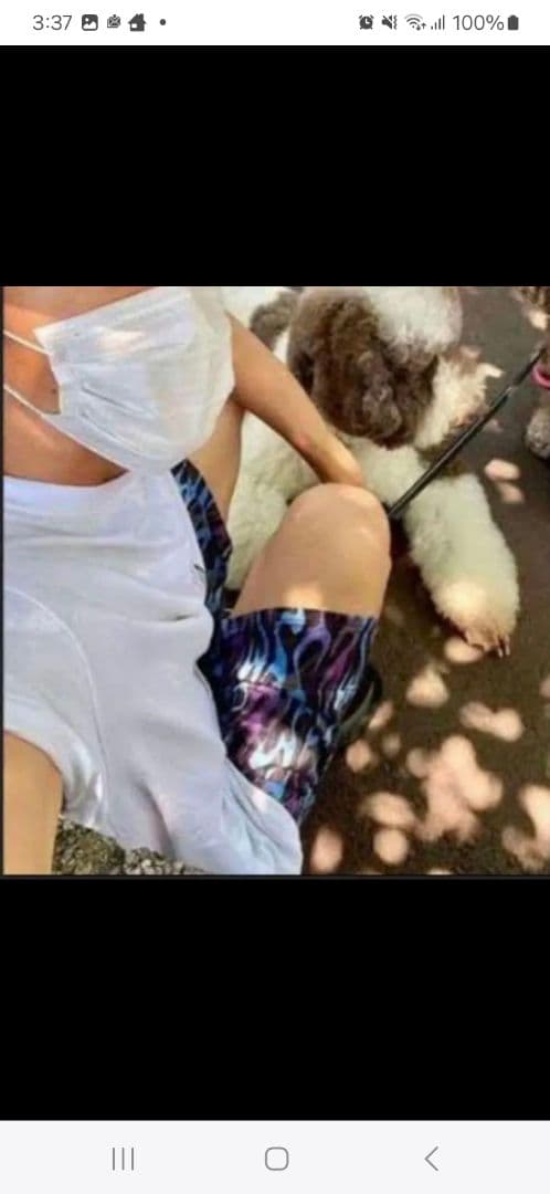 masseマシス ファイヤーショーツ 希少サイズ:M キムタク 長瀬