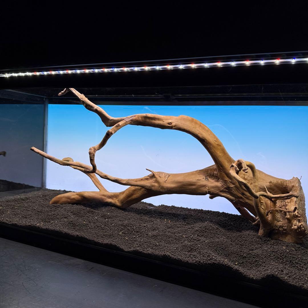 MDW-6921 特大ブランチウッド　流木　枝流木　アクアリウム