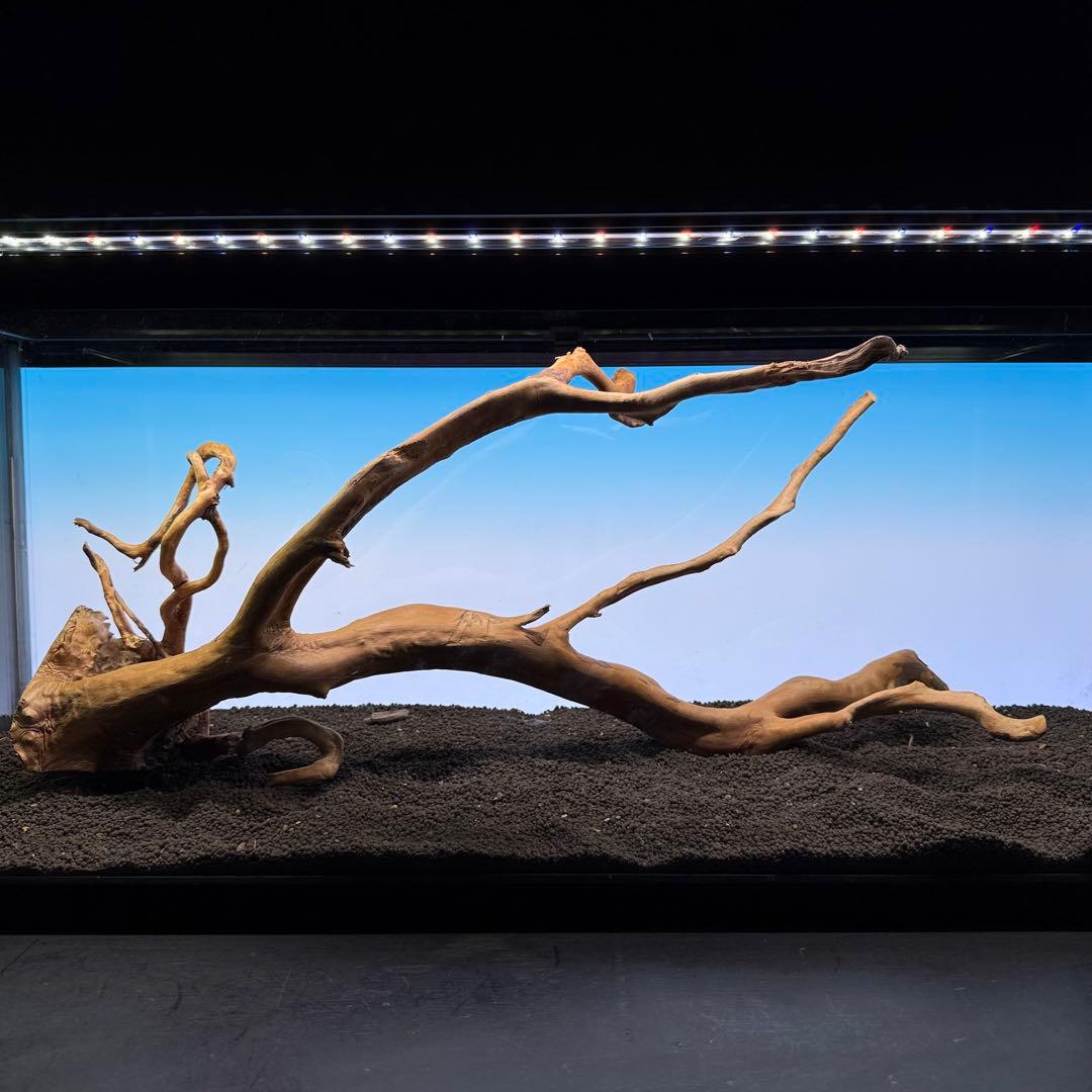 MDW-6921 特大ブランチウッド　流木　枝流木　アクアリウム