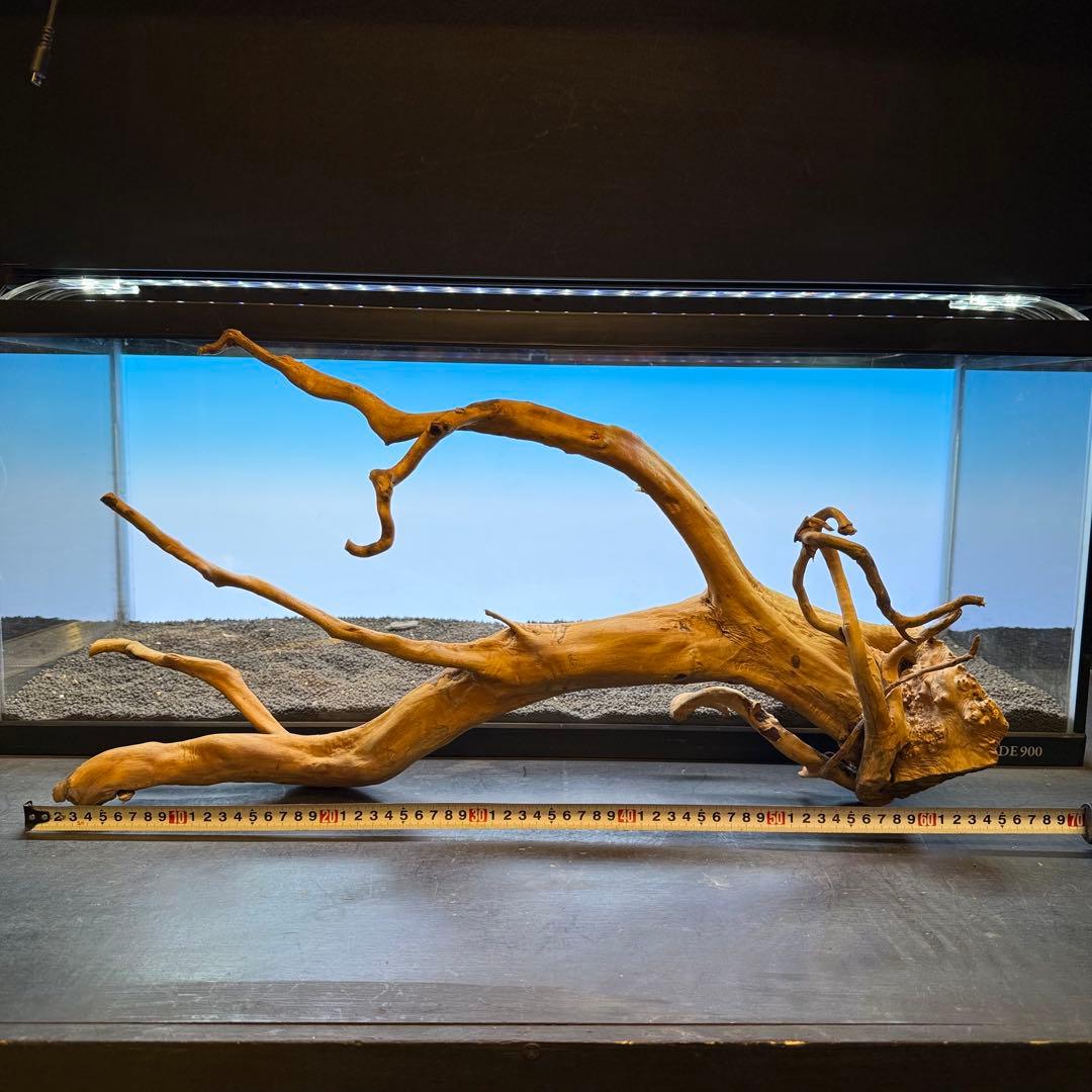 MDW-6921 特大ブランチウッド　流木　枝流木　アクアリウム