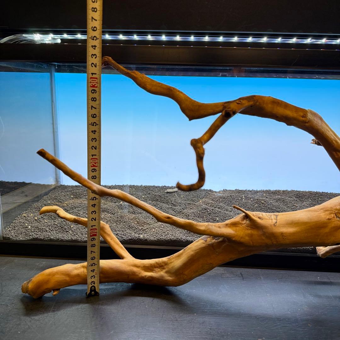 MDW-6921 特大ブランチウッド　流木　枝流木　アクアリウム