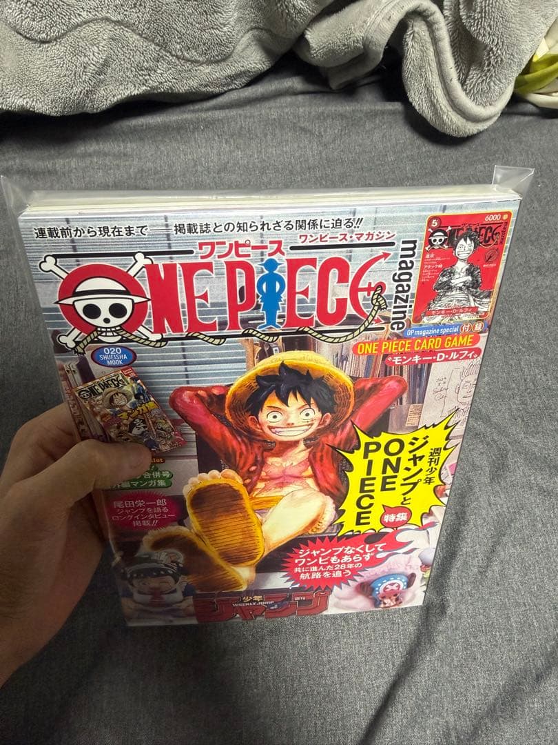 ONE PIECE magazine 20号 付録付き シュリンク付き