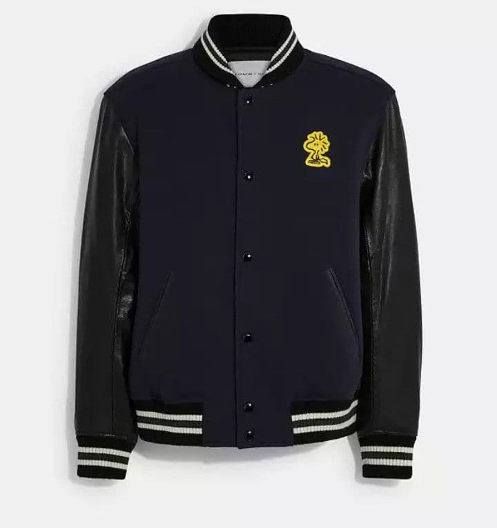 ミー 未使用品 COACH Peanuts スヌーピー スタジャン XS