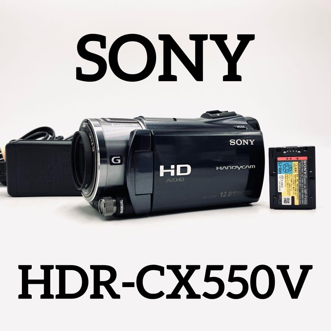 SONY HDR-CX550V ボルドー