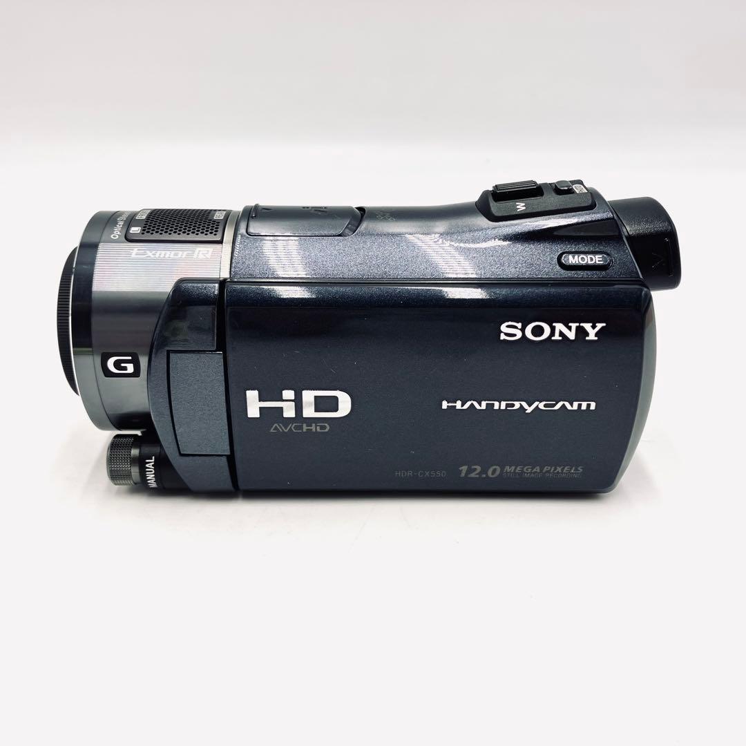 SONY HDR-CX550V ボルドー