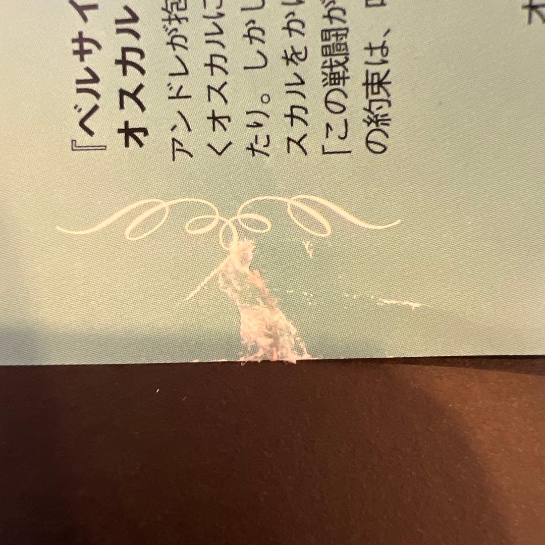 ベルサイユのばら　ゼクシィ　愛と波乱の結婚準備ダンドリBOOK 付録