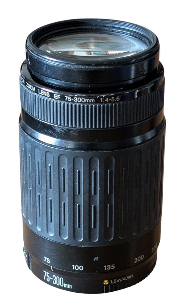 Canon キャノン EF 75-300/4-5.6 USM ズームレンズ