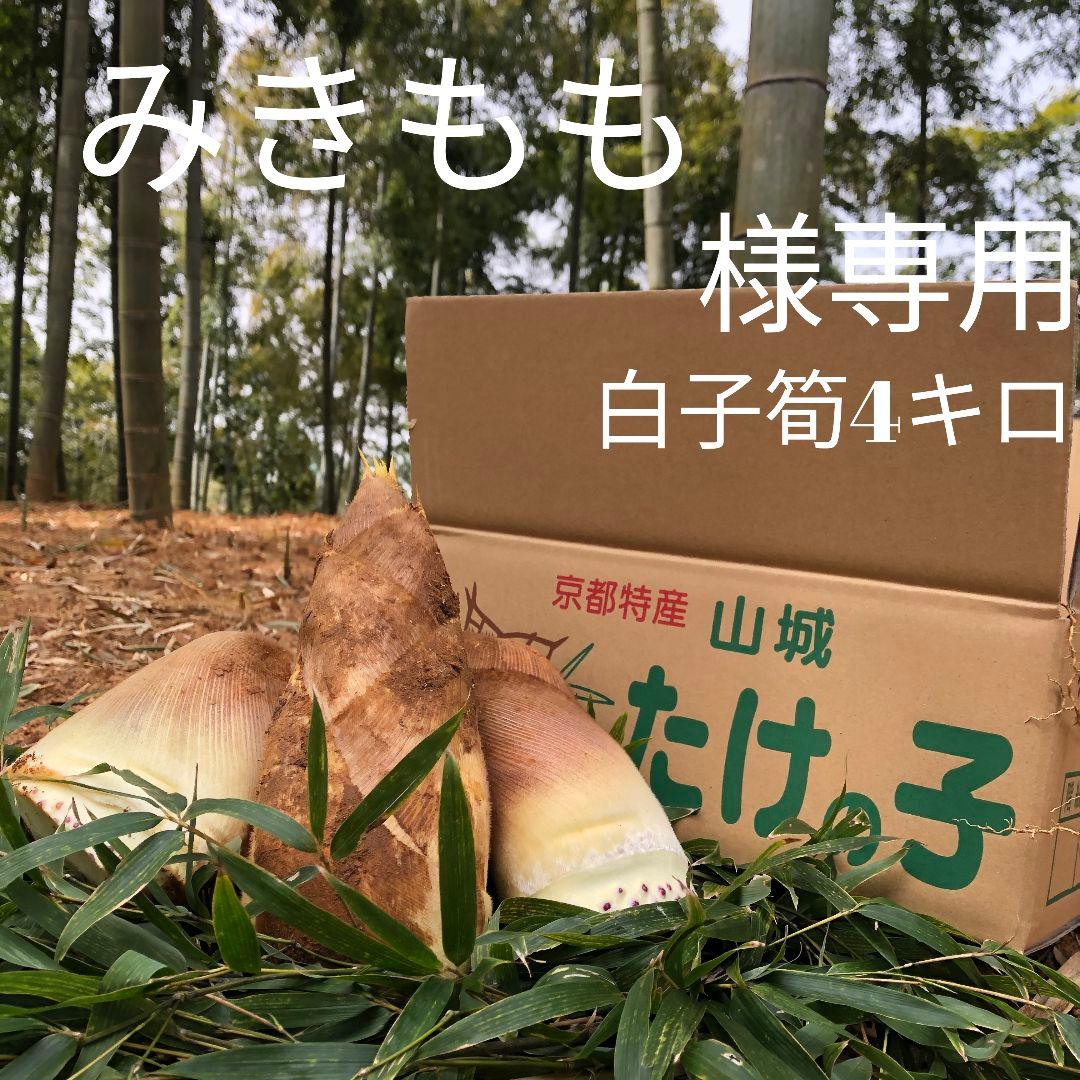 みきもも　白子筍4キロクール