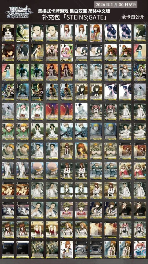 ヴァイス STEINS;GATE 中国版 簡体中文 1カートン