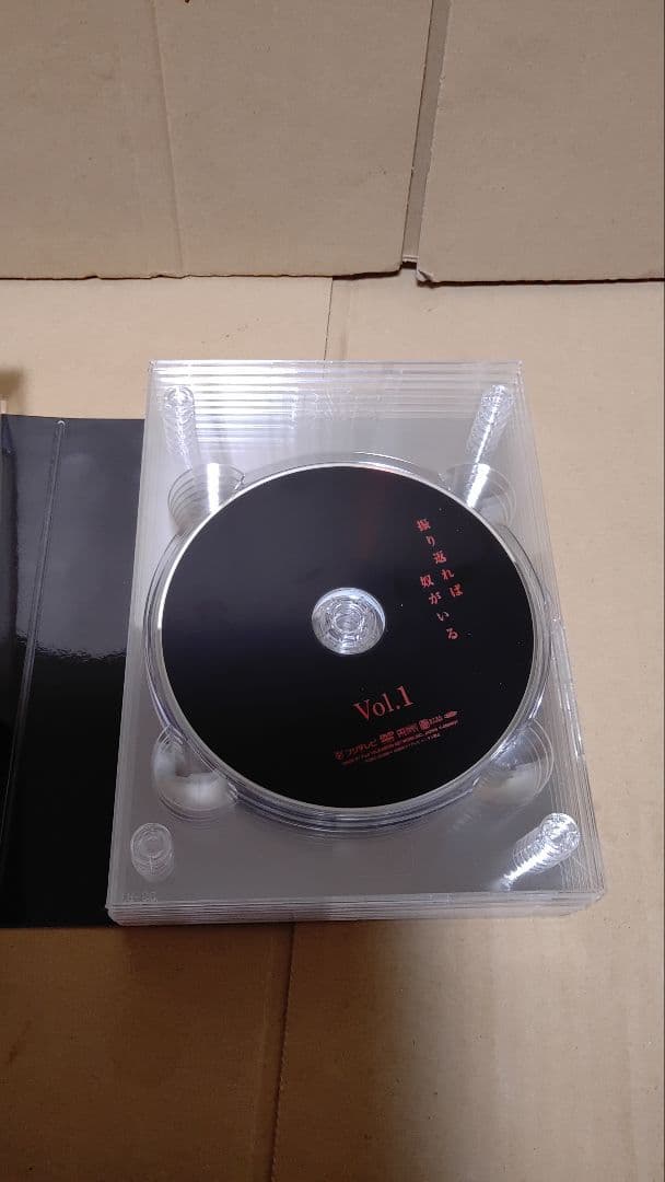 振り返れば奴がいる DVD-BOX 帯あり akihiro