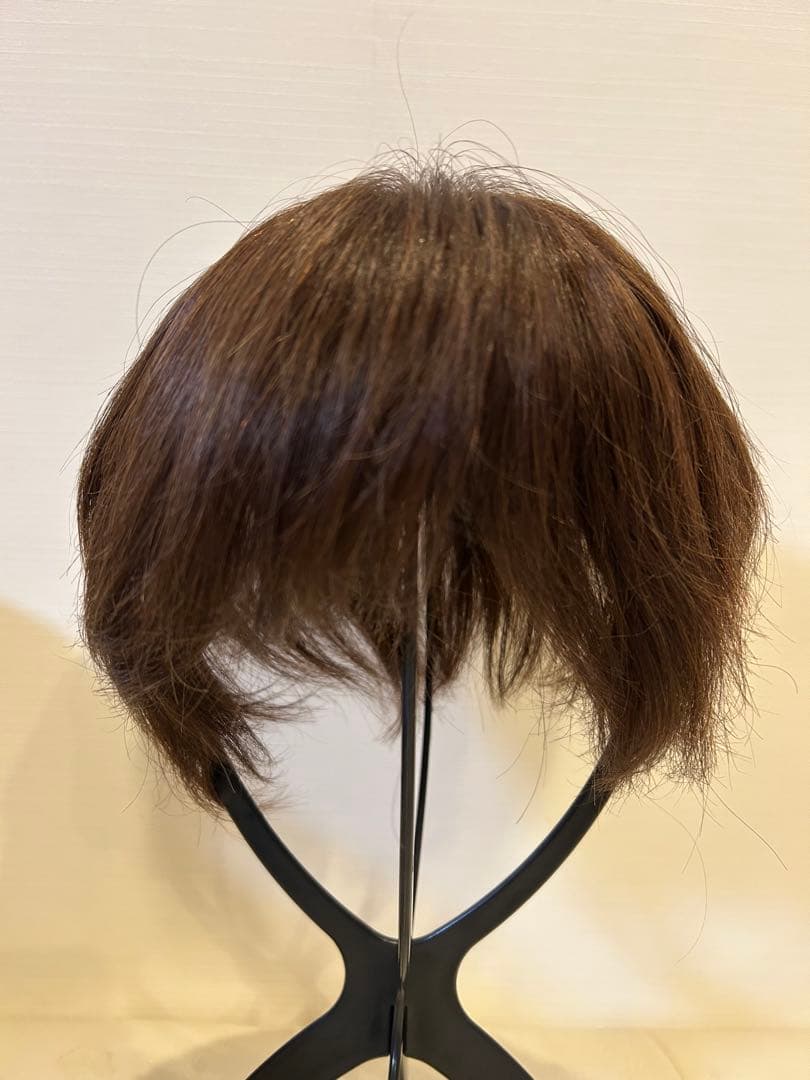 アクアドール６分ウィッグ　人毛100パーセント　ショート