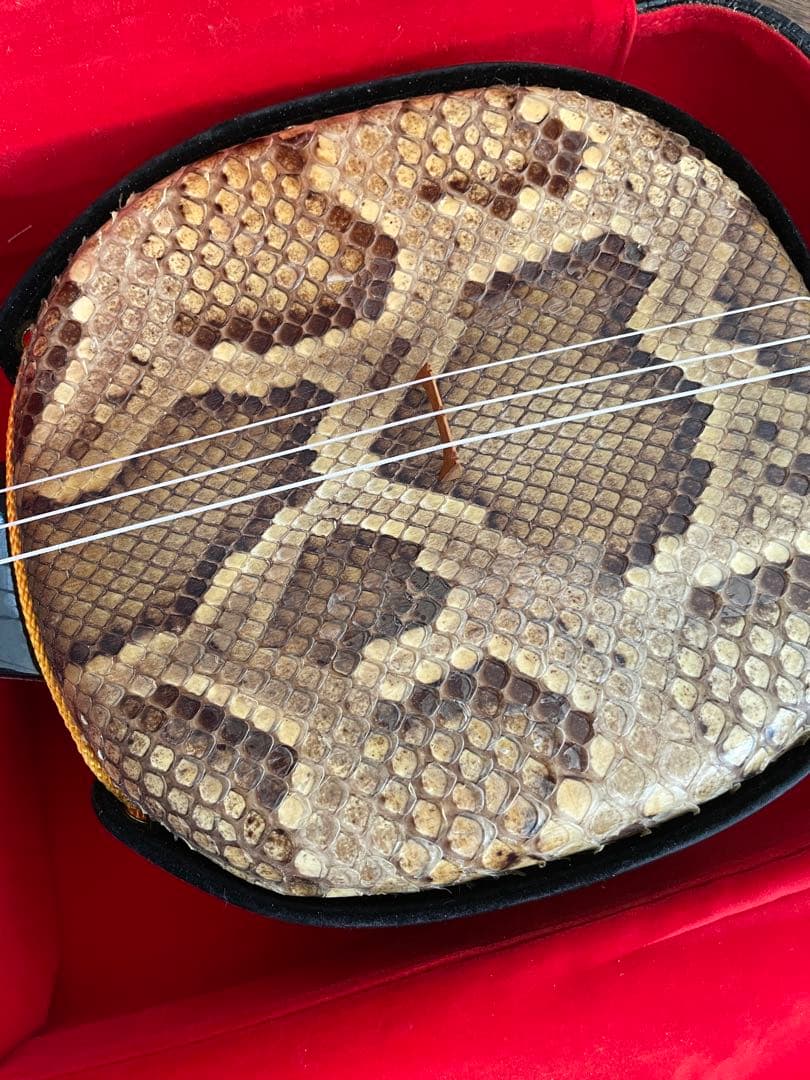 初心者用 三線 沖縄 本皮強化貼り 三味線 ケース、ツメ、取り替え弦つき