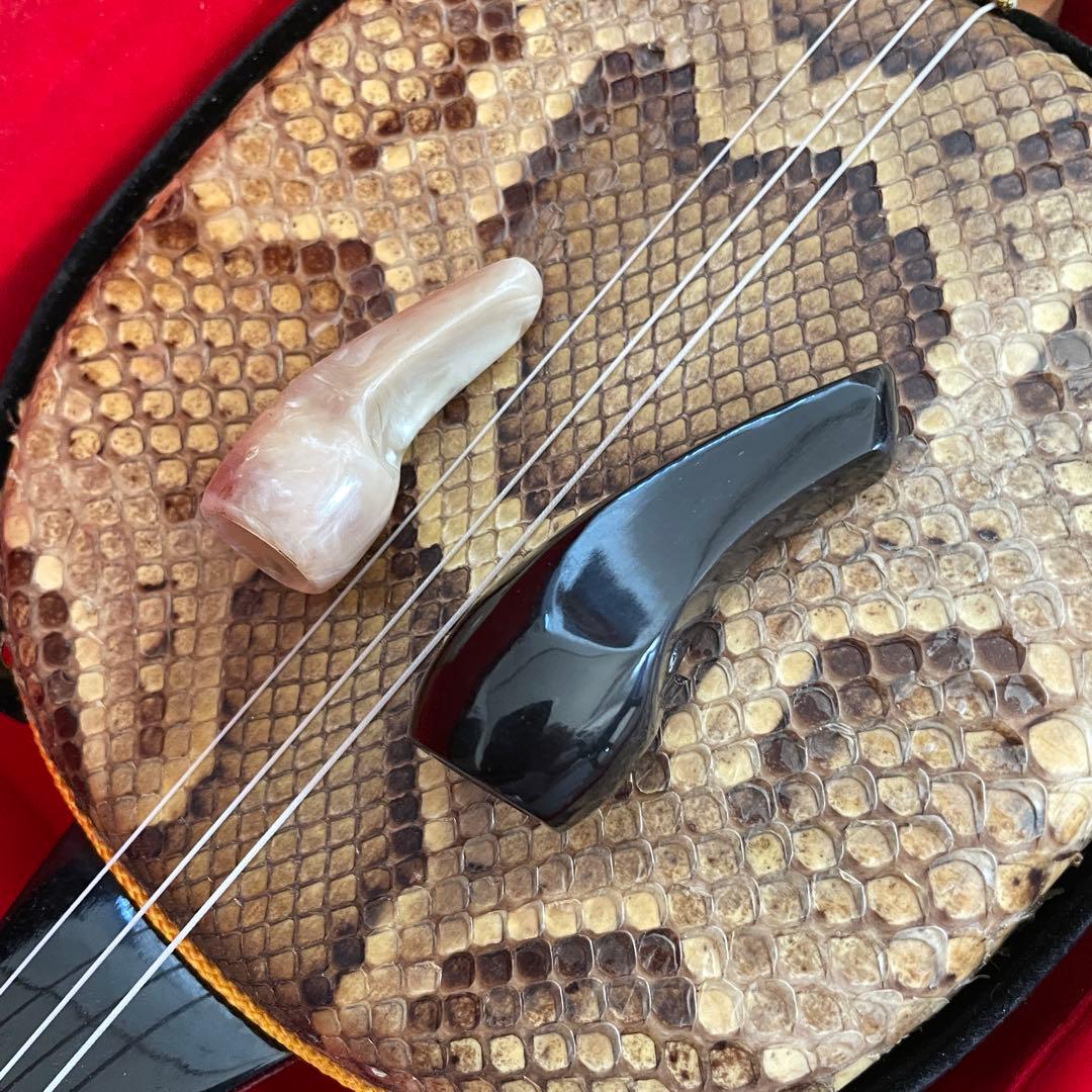 初心者用 三線 沖縄 本皮強化貼り 三味線 ケース、ツメ、取り替え弦つき