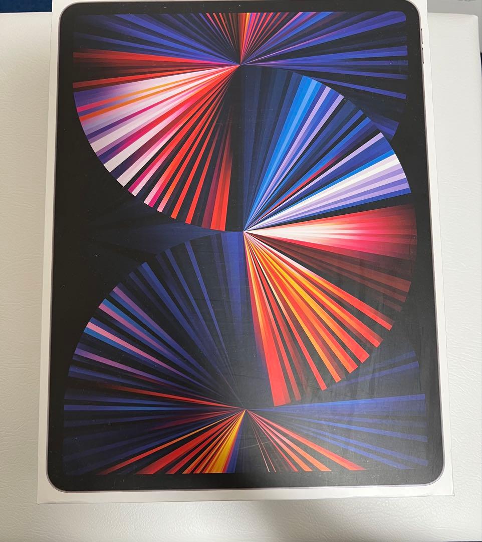 iPad Pro 256GB (第5世代) スペースグレイ セルラーモデル