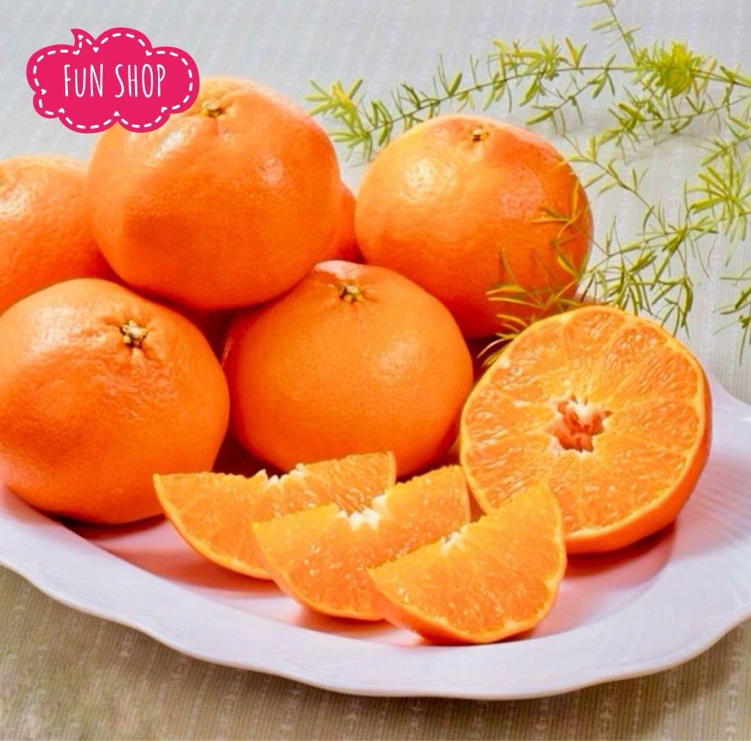 【甘平・高級品→お年明け1月中旬から発送】