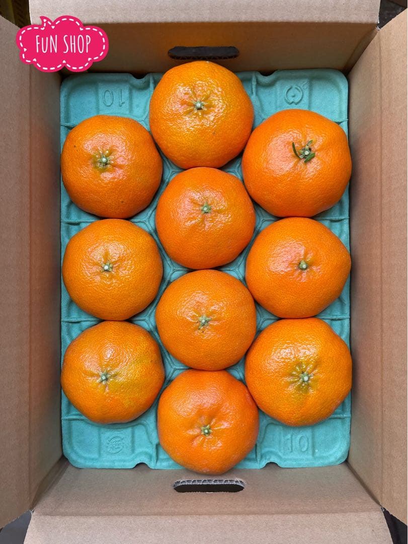 【甘平・高級品→お年明け1月中旬から発送】