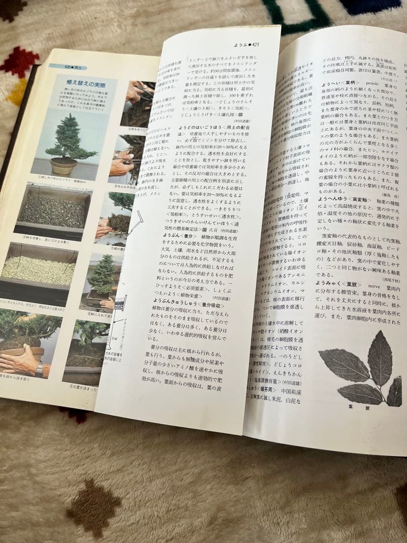 盆栽大事典 全3巻セット