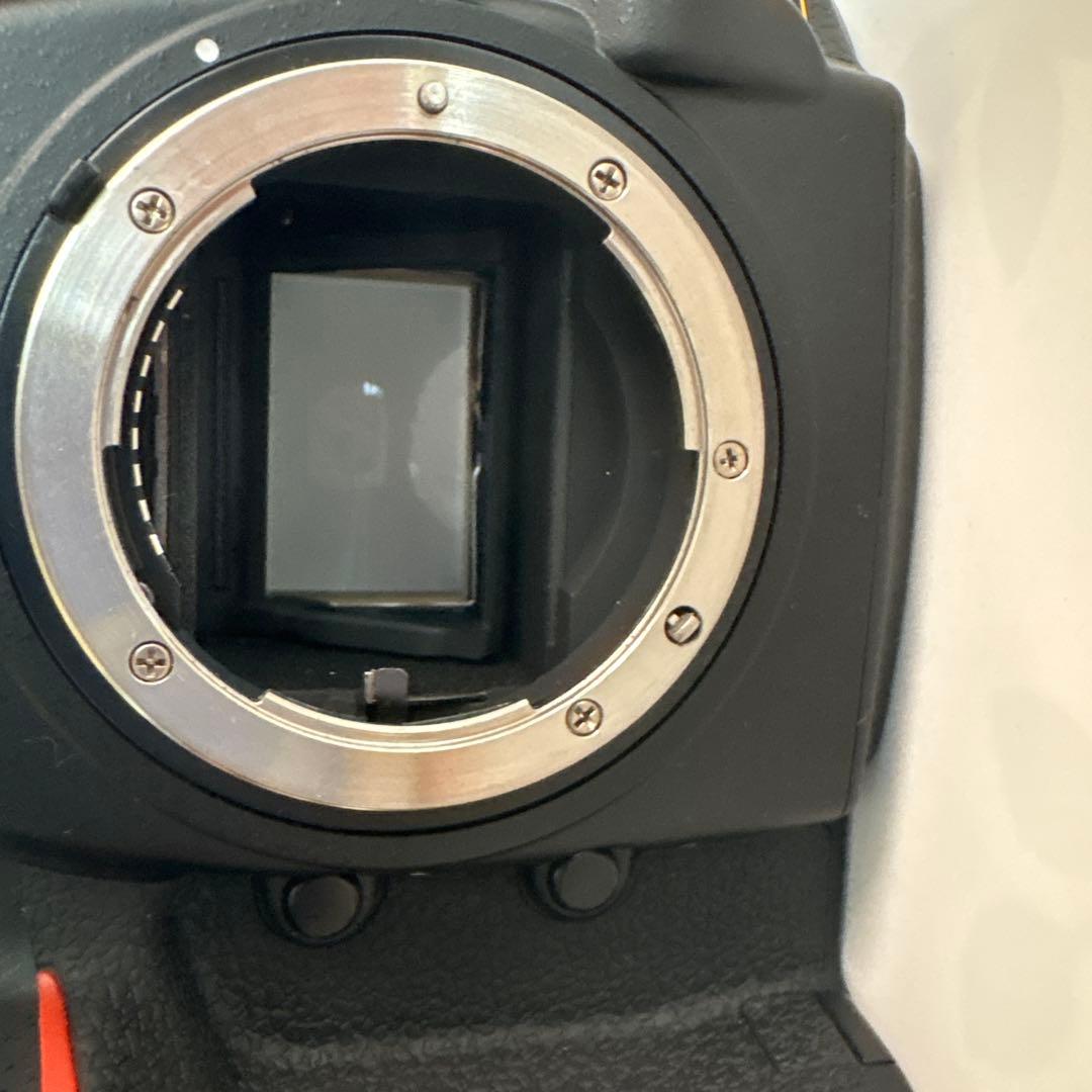 Nikon D810 ボディ 一眼レフカメラ ショット数約6000枚