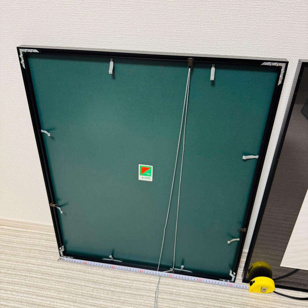 【10枚あり！】フジカラー A300 全紙 アルミ額縁