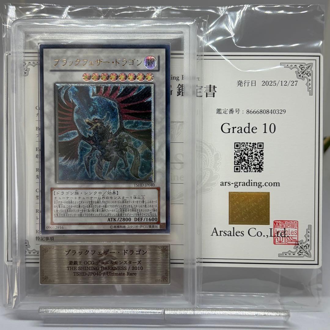 みき様　【ARS10】 ブラックフェザードラゴン　レリーフ