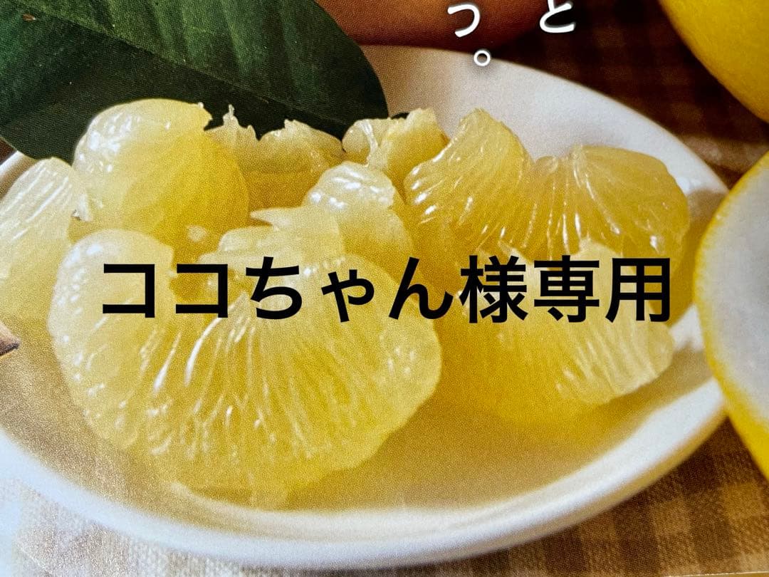 ココちゃん　土佐文旦B品大玉20キロ