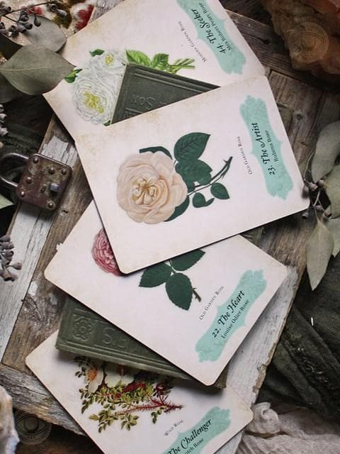 【正規品オラクルカード】エレガントローズ色✨美しいヴィンテージイラスト薔薇デッキ