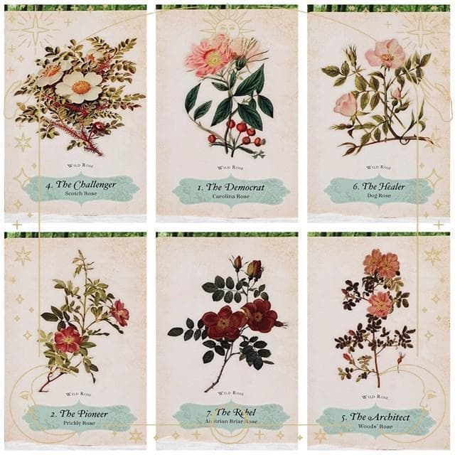 【正規品オラクルカード】エレガントローズ色✨美しいヴィンテージイラスト薔薇デッキ