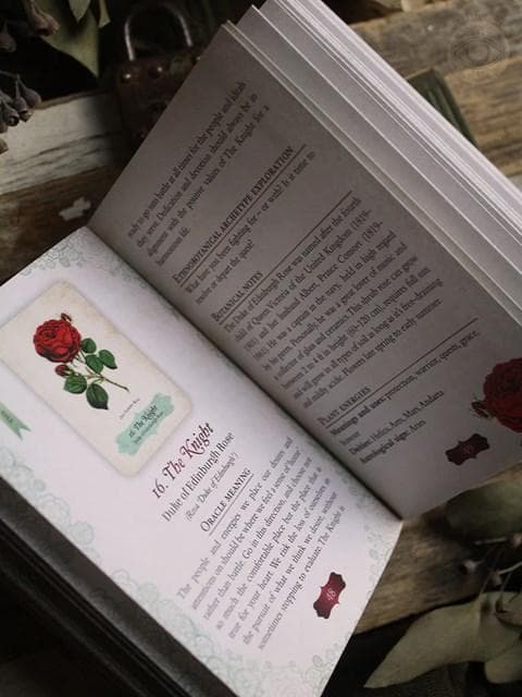 【正規品オラクルカード】エレガントローズ色✨美しいヴィンテージイラスト薔薇デッキ