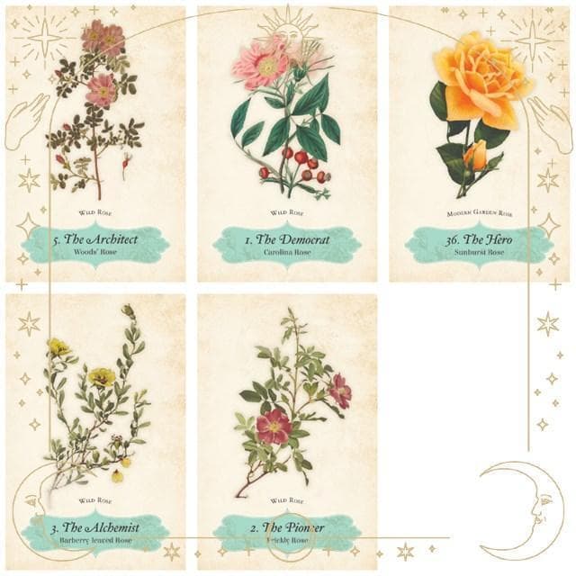 【正規品オラクルカード】エレガントローズ色✨美しいヴィンテージイラスト薔薇デッキ