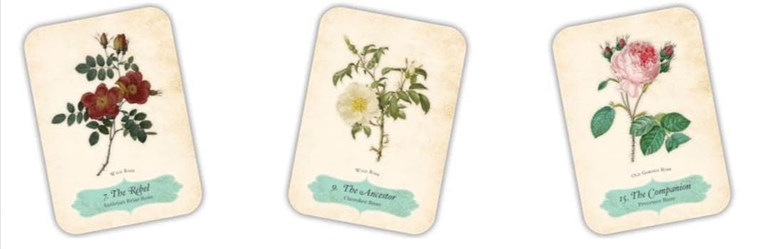 【正規品オラクルカード】エレガントローズ色✨美しいヴィンテージイラスト薔薇デッキ