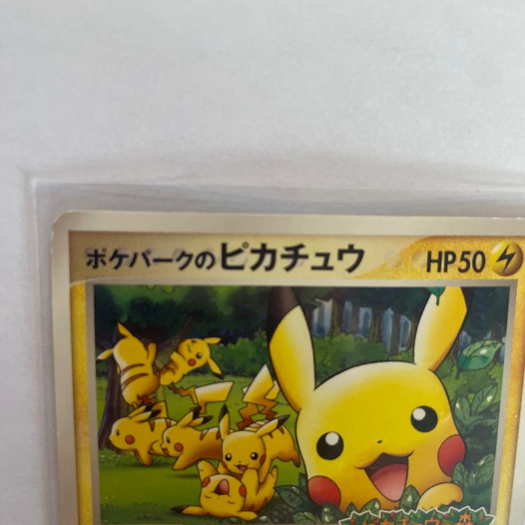 エ*プ様 ポケパークのピカチュウ