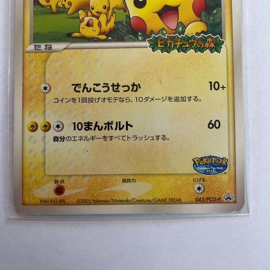 エ*プ様 ポケパークのピカチュウ