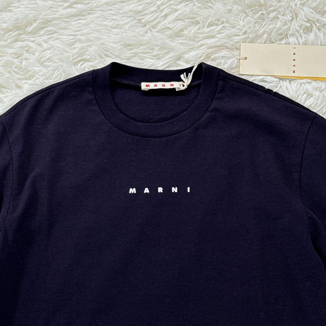 新品タグ付✨ 大人もOK！マルニ　キッズTシャツ　12Y 150 紺 25SS