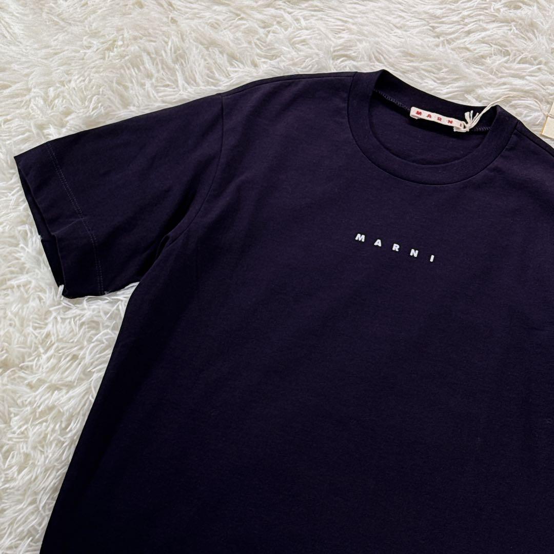 新品タグ付✨ 大人もOK！マルニ　キッズTシャツ　12Y 150 紺 25SS